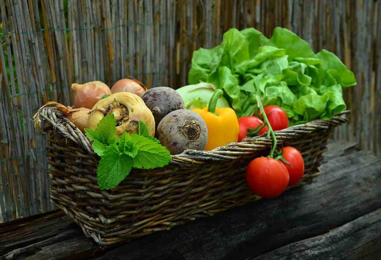 légumes, panier de légumes, récolte