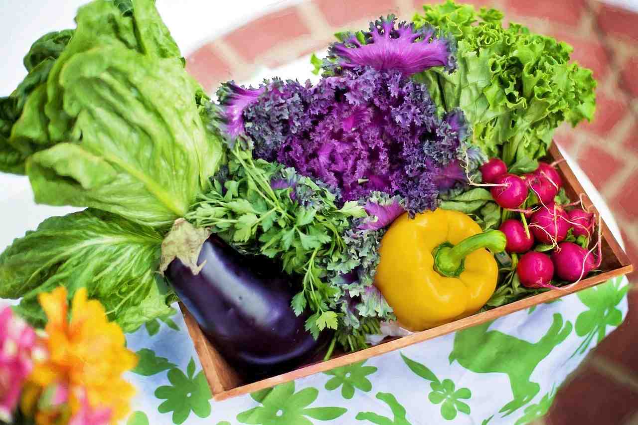 légumes, jardin, récolte